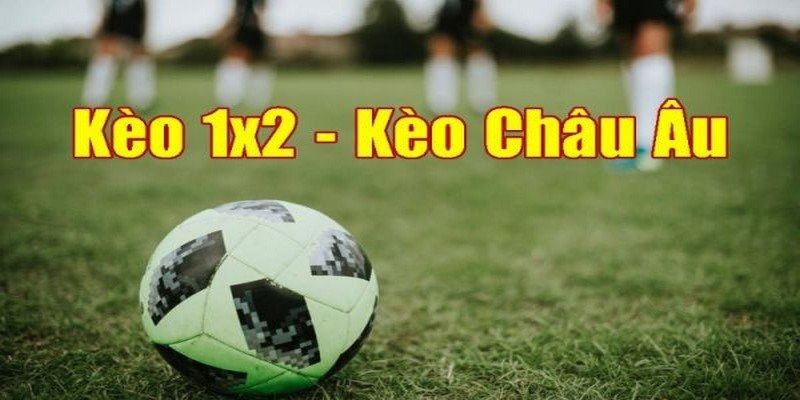 Cách đọc kèo này một cách đơn giản nhất